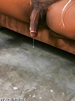 tranny porno